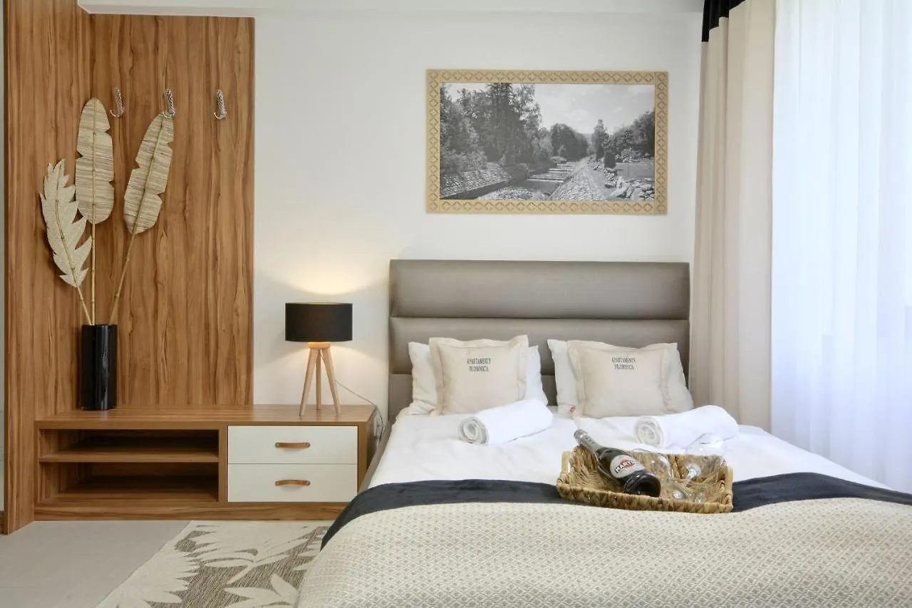 Apartment Apartamenty Plomnica Karpacz